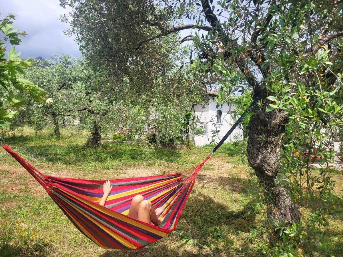 Ioannis Houses - Gemuetliches Ferienhaus Im Olivenhain Skála Potamiás Eksteriør bilde